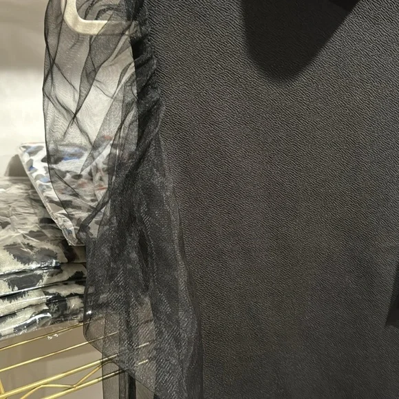 Sheer Sleeve Black Top - Picture 3 of 4